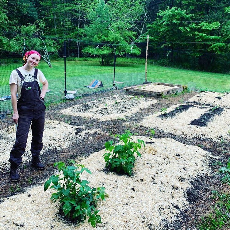 Valorie's newest Instagram photo (last week), following her insta ...