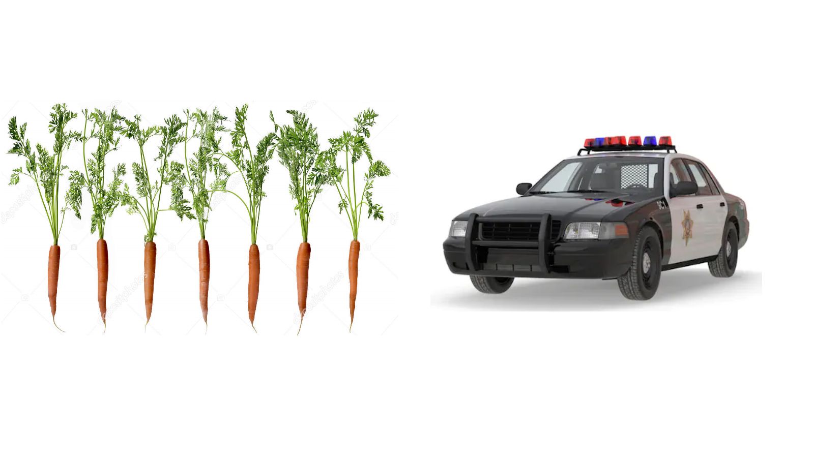 vegetable row police vehicle? | Scrolller