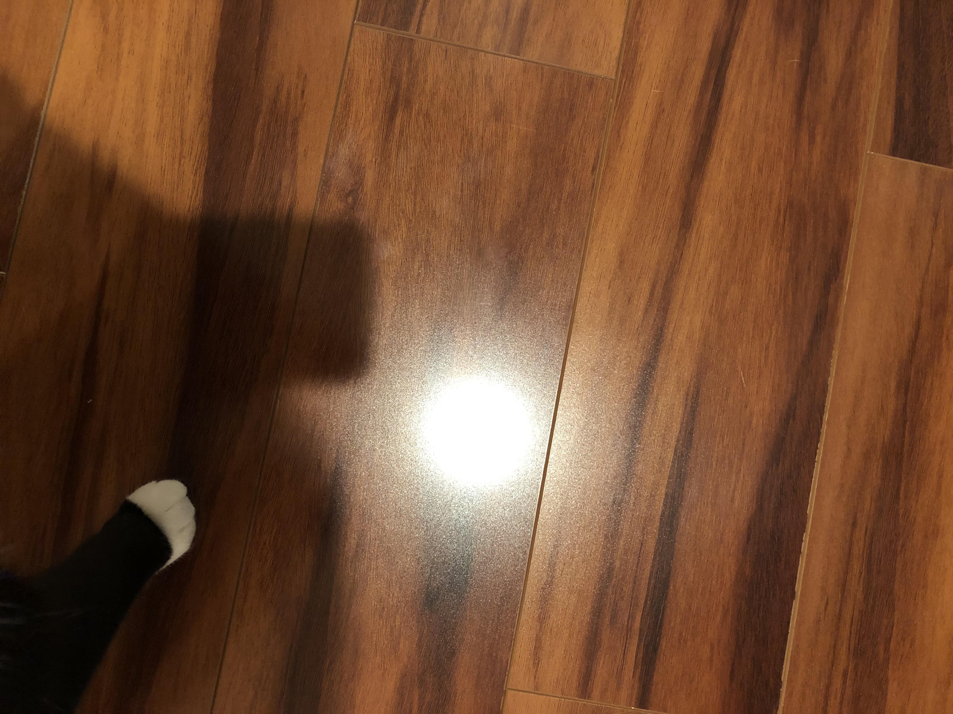 Weird white spots all over my laminate flooring how do I get this off