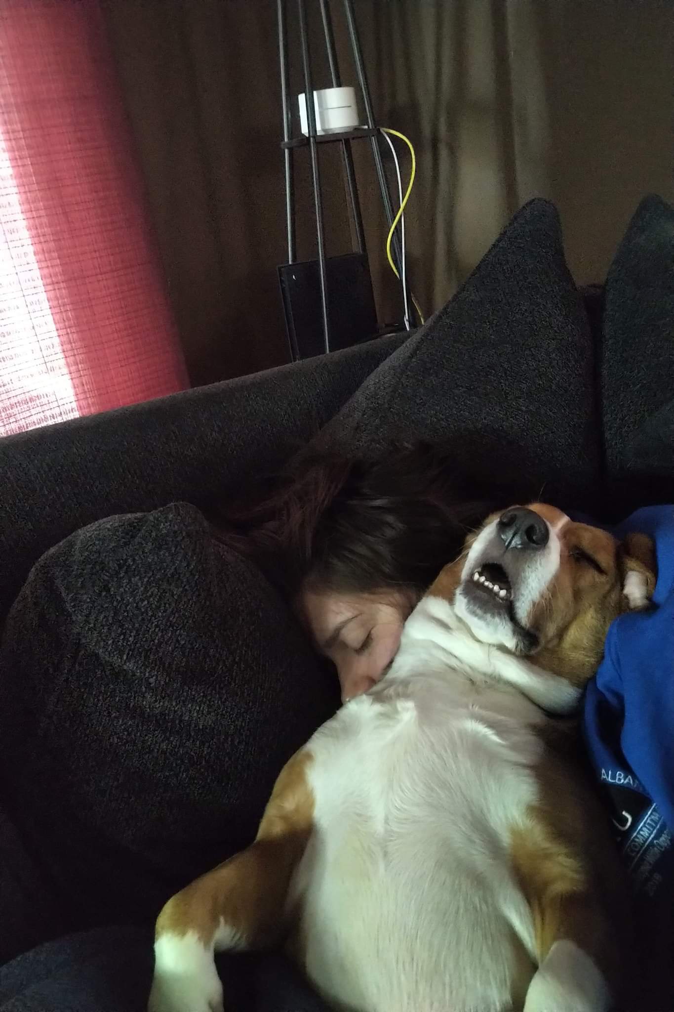 We're professional nappers in this house | Scrolller