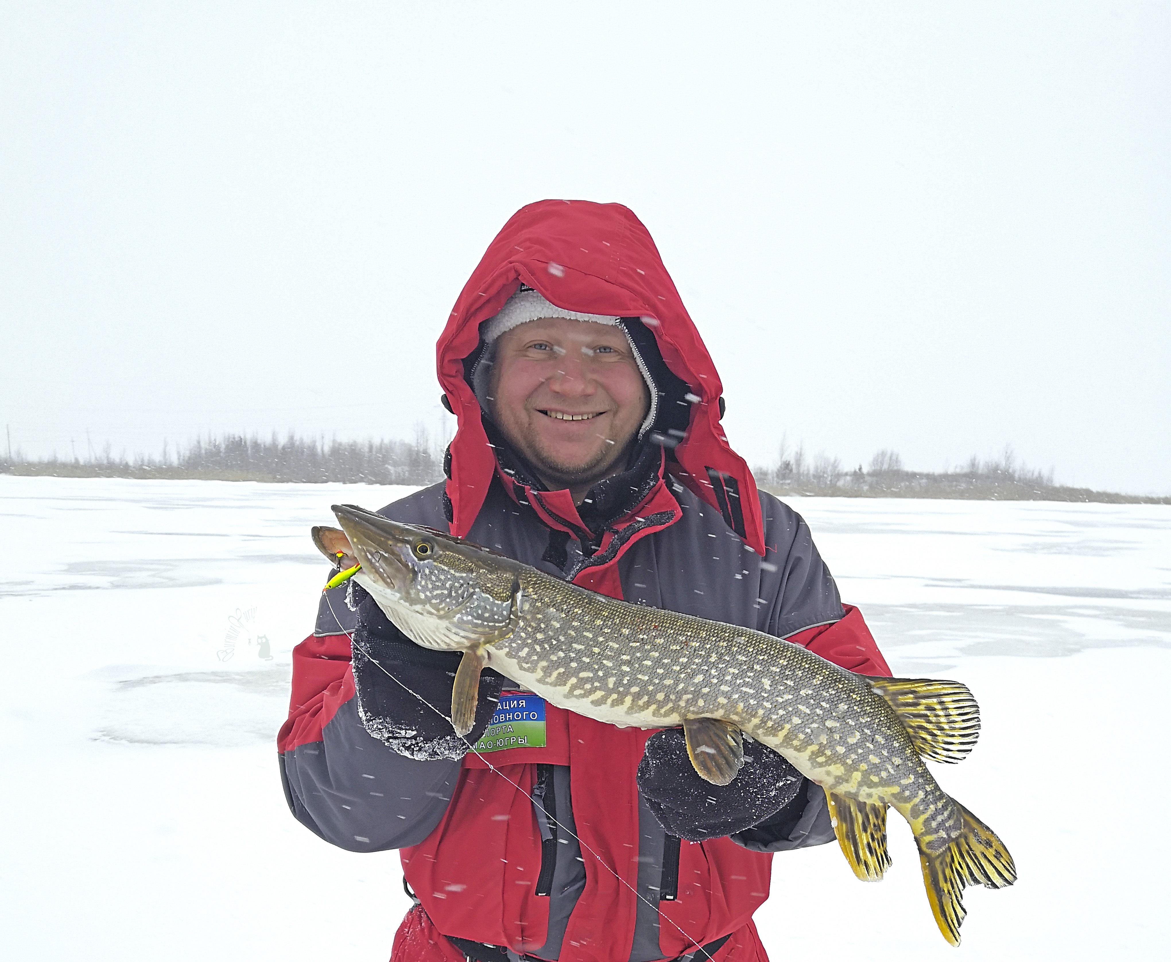 Winter pike | Scrolller