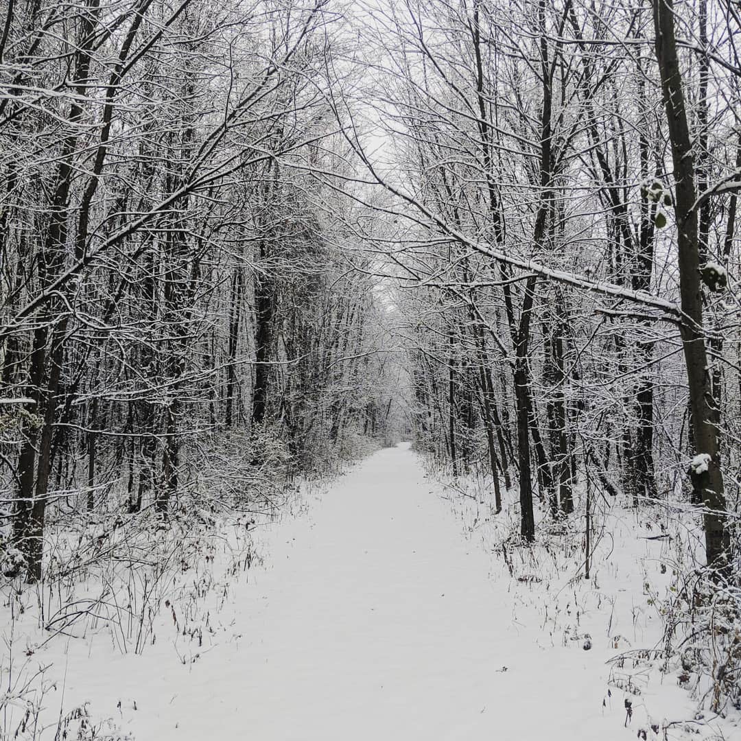 Winter started early in Michigan