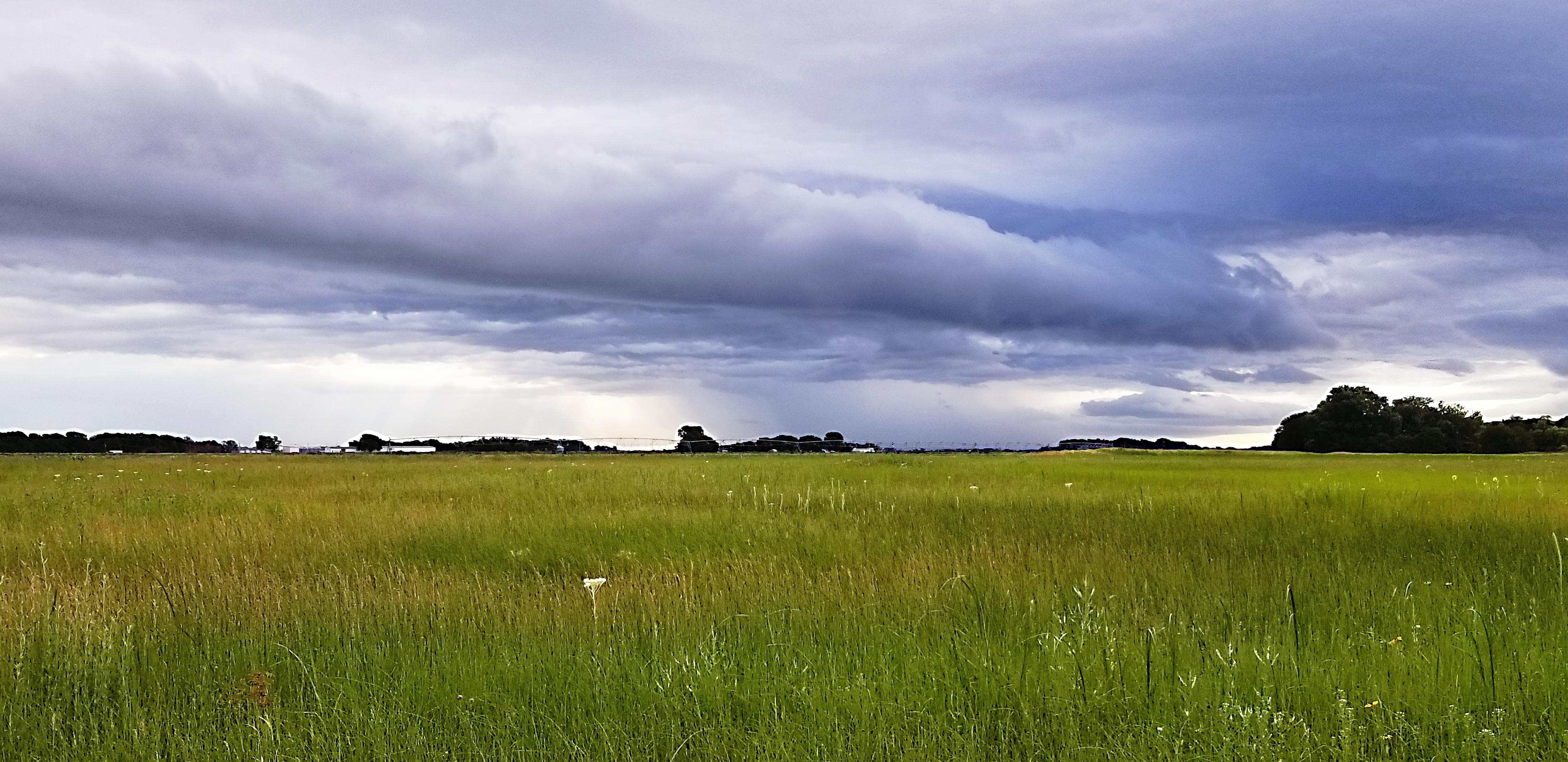 Yesterday's rain with sunshine made for a pretty picture. | Scrolller