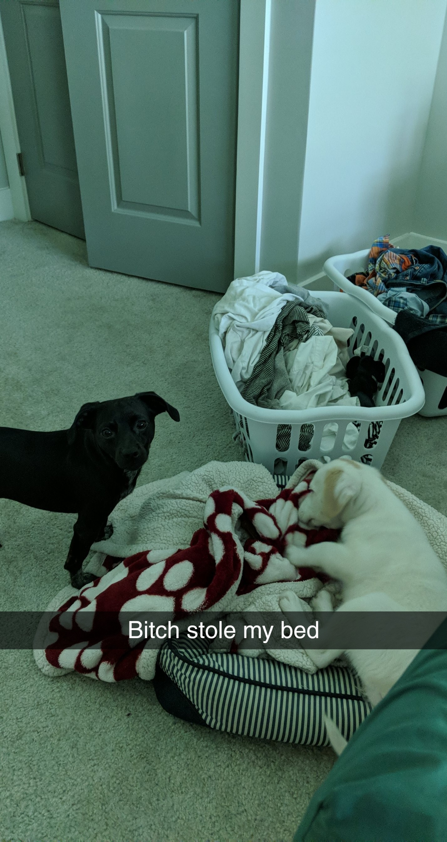 You seeing this? Scrolller