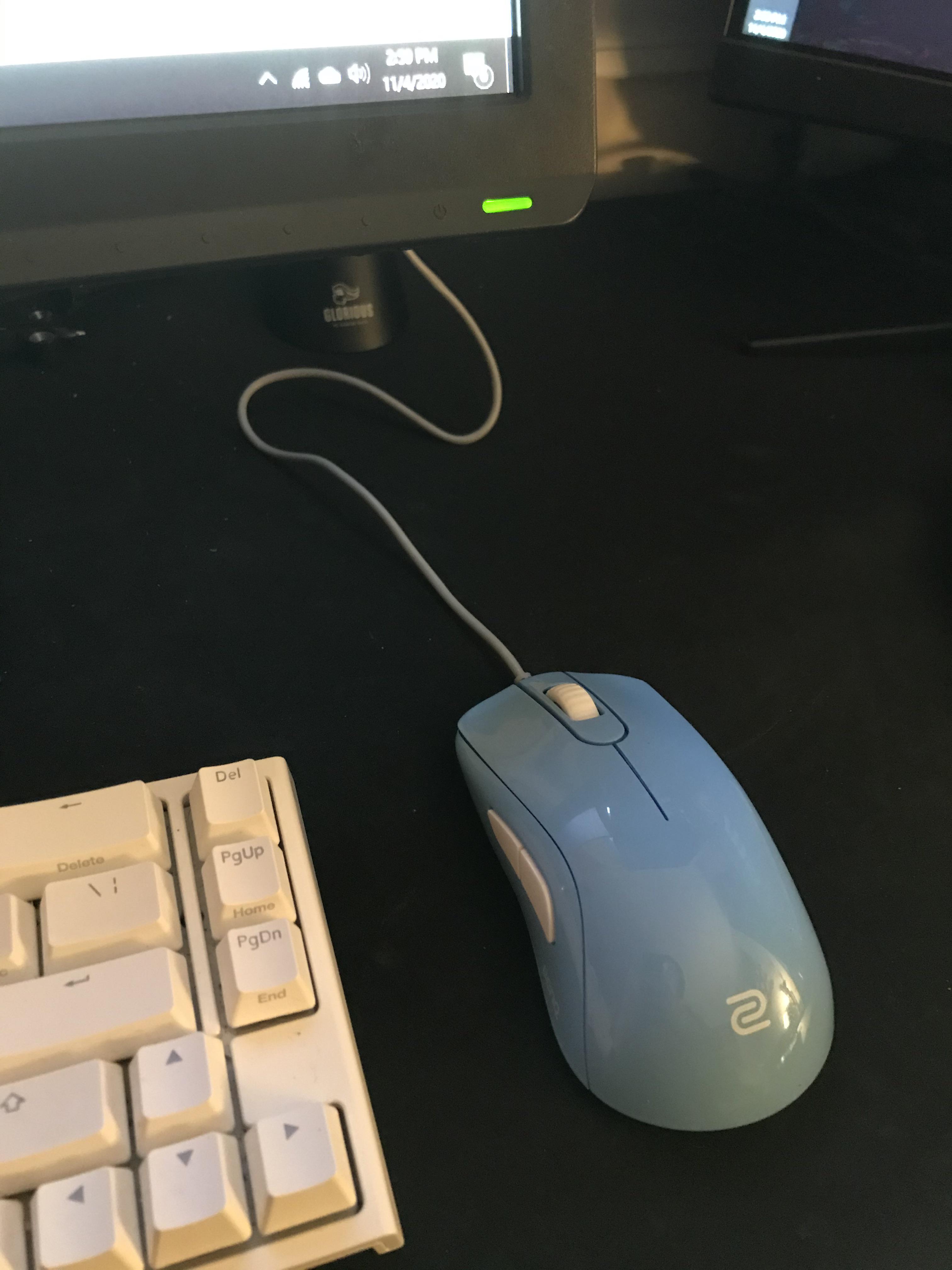 Souris Zowie S1 Divina Blue – Grand Format – Pour PC – Occasion Bon état