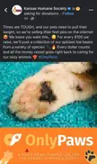 $10,000 raised for Spicy Beans pics! 🐾