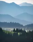 [1600x2000] Mount Rainier National Park