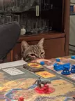 “Friendly” Saturday night game