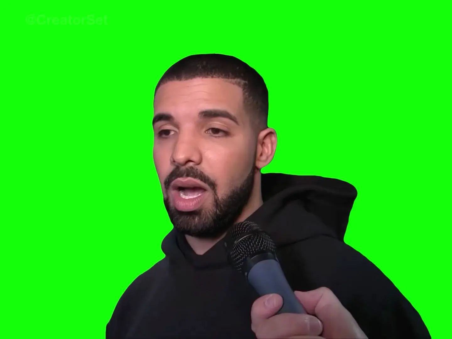 [GREEN SCREEN] Drake saying "I don't like any of you" Meme Template - Nardwuar vs Drake 2016