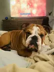 “I’m not going to say for bed!!”