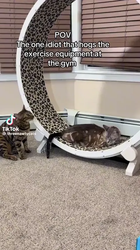 "I'm using it, look" 