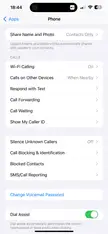 [iOS 18.1 DB4] Missing live voicemail options in phone app settings