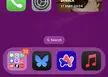 [iOS 18.1 DB5] dock icons not following automatic light/dark mode