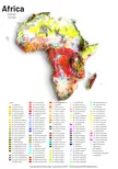 [OC] A Map🗺️ Showing Soil Types of Africa Continent, Dataset is from FAO (Domsoil)