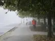 [OC] Foggy autumn walk to school at Tiszaliget