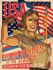 “USA- Stars and Stripes to the Stars!” [Solar Theatre] by Paul Sizer