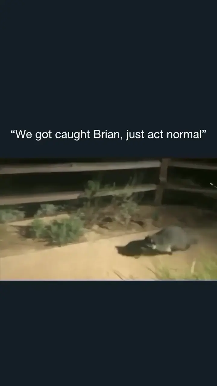 "We got caught Brian just act normal"