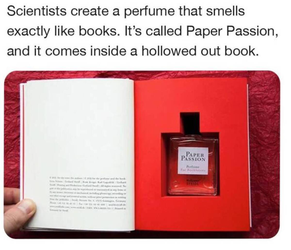 'Papyer Theorist' perfume 100 ml Perfumes