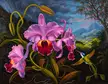 Orchid Piece (Three Pink Cattleyas with Racquet-Tailed Hummingbird) by Ian Hornak