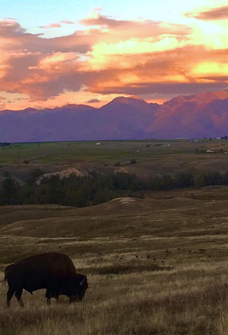 Rocky Mountain back roads