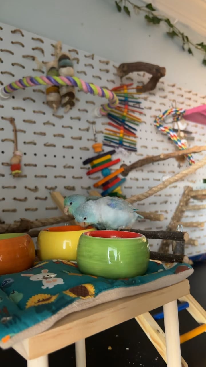 babies eating some treats