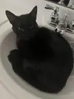 Sink void