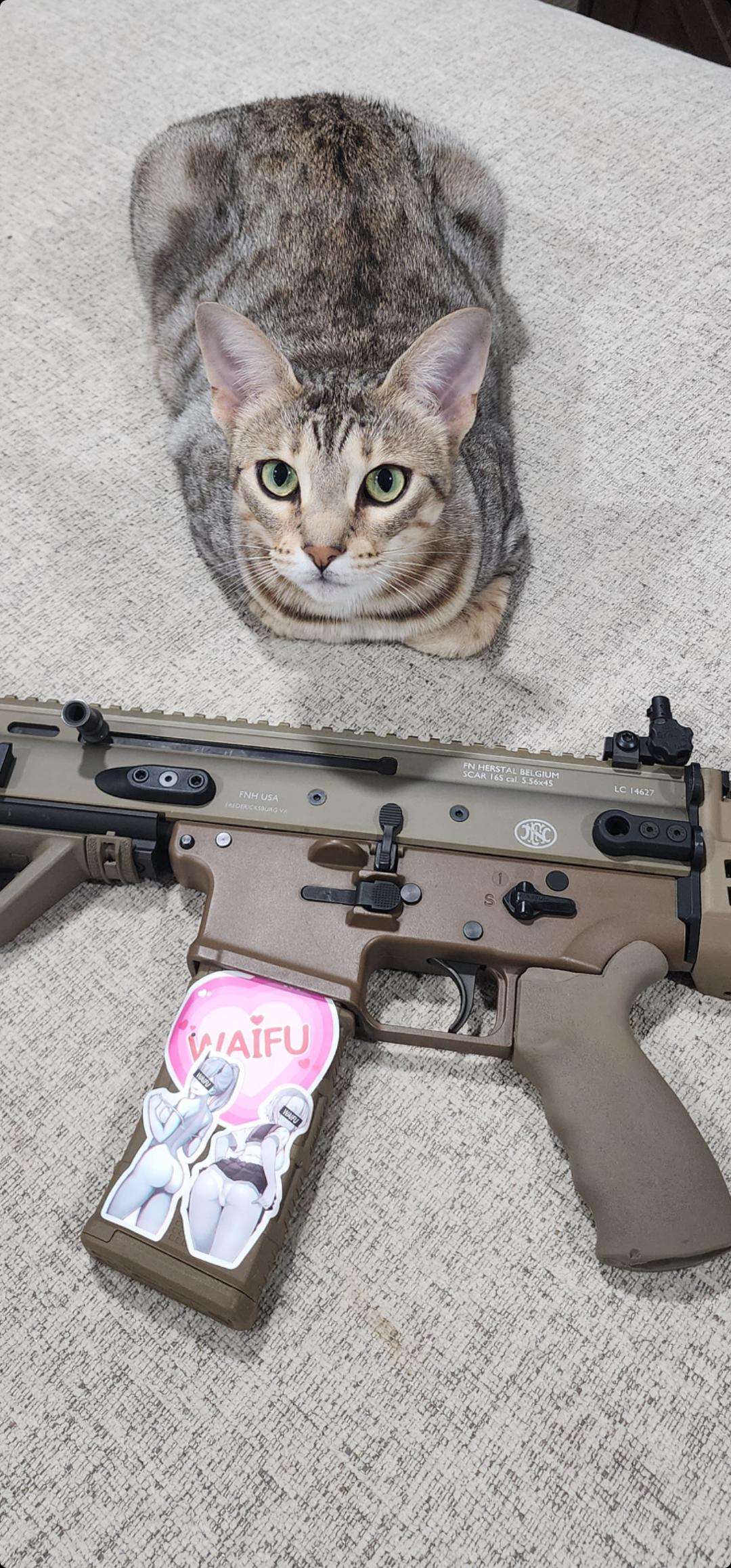 Best Way To Protect Stickers On A PMAG Pic Is Not A Meme Is Actually best-way-to-protect-stickers-on-a-pmag-pic-is-not-a-meme-is-actually