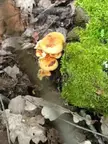 Saw this last week