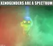 A dank meme of Slimer from Ghostbusters as a glowing skull in colorful smoke with text about xenogenders