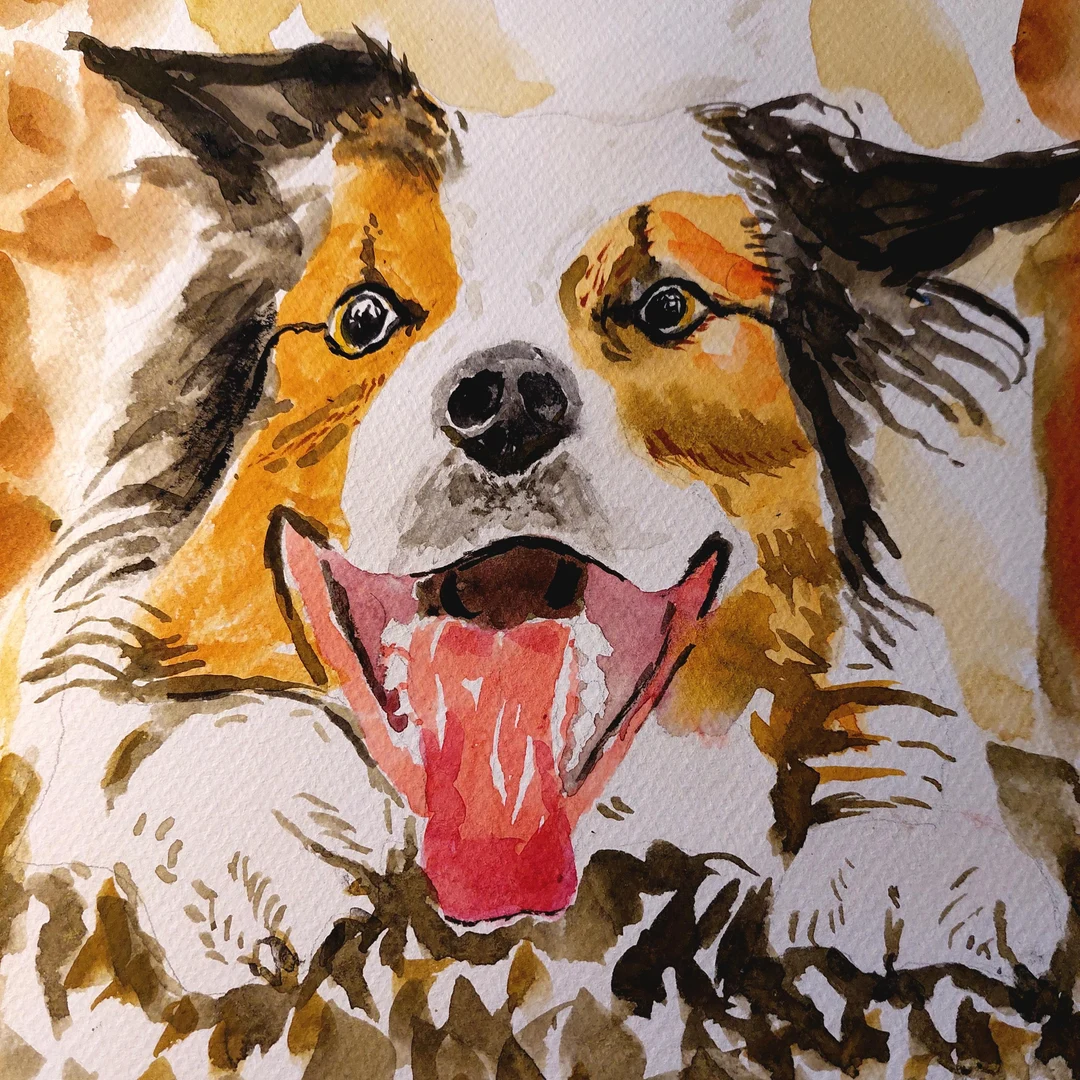A Border Collie In Watercolor Scrolller