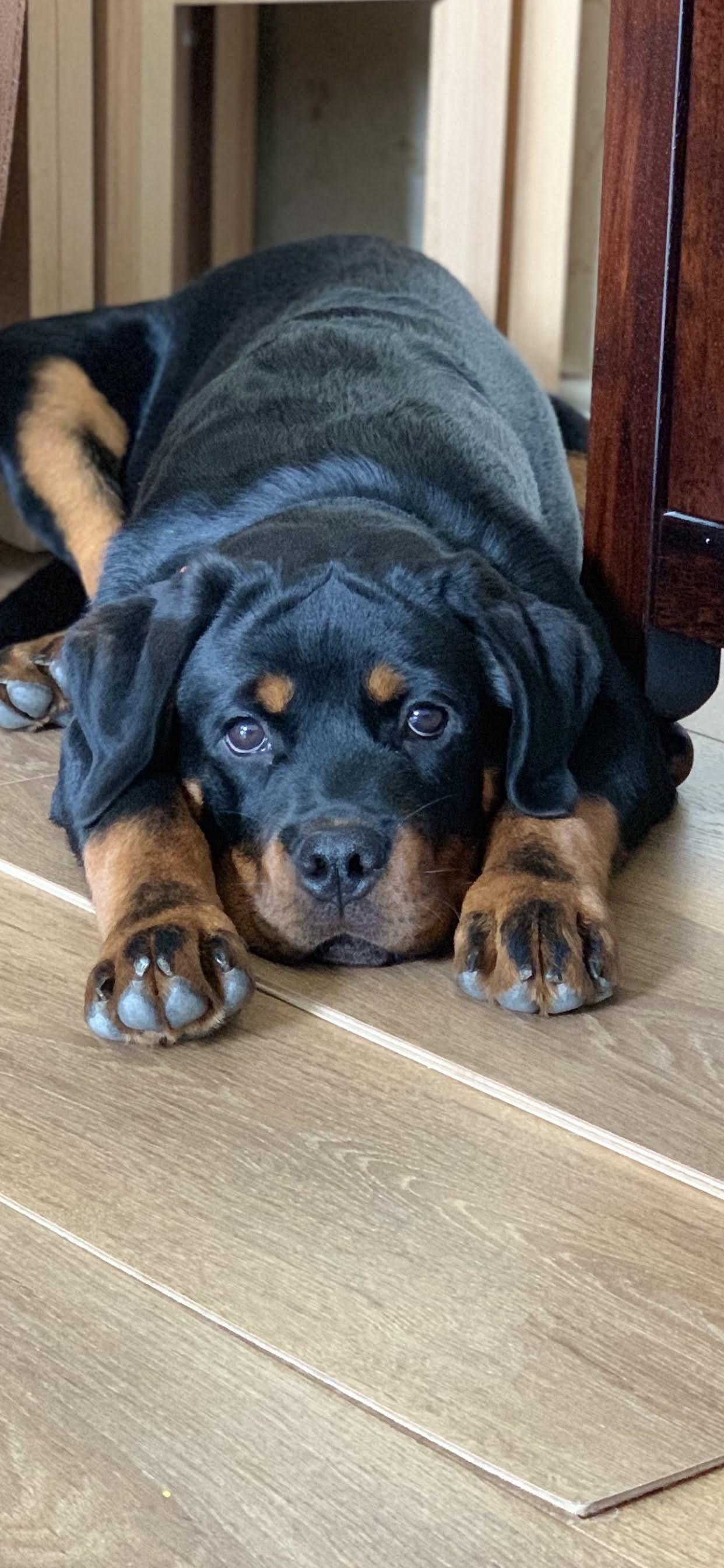 my little handsome boy