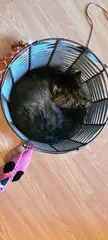 Circles are better