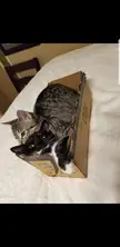 The perfect fit. 