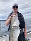 Big Atlantic cod caught this summer