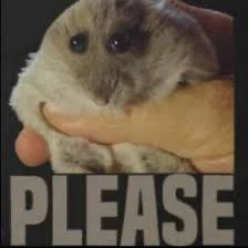 PLEASE HELP ME