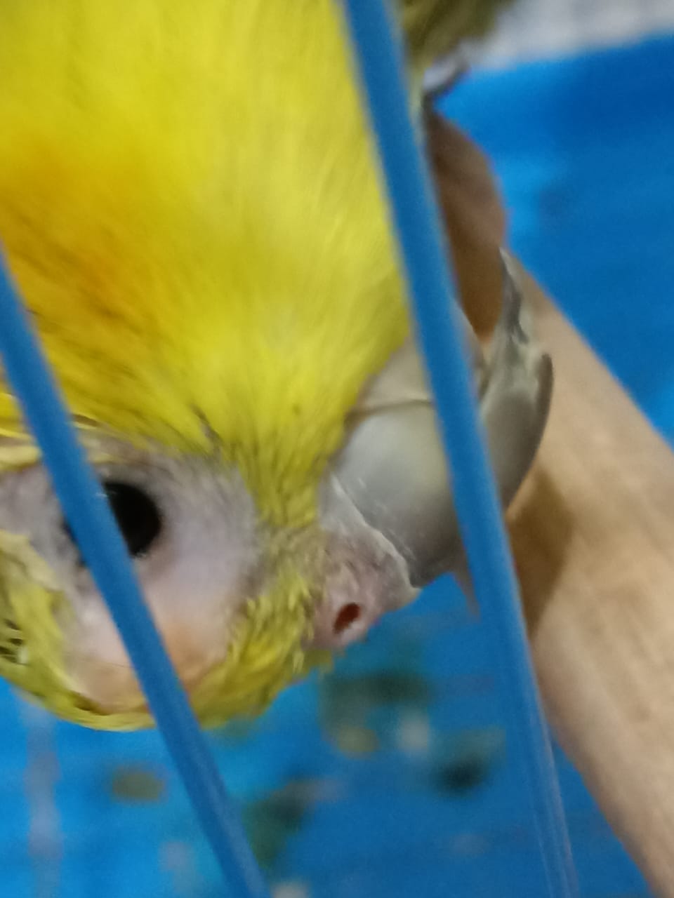 Is his eye ok?