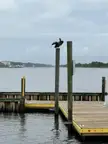 Perched 