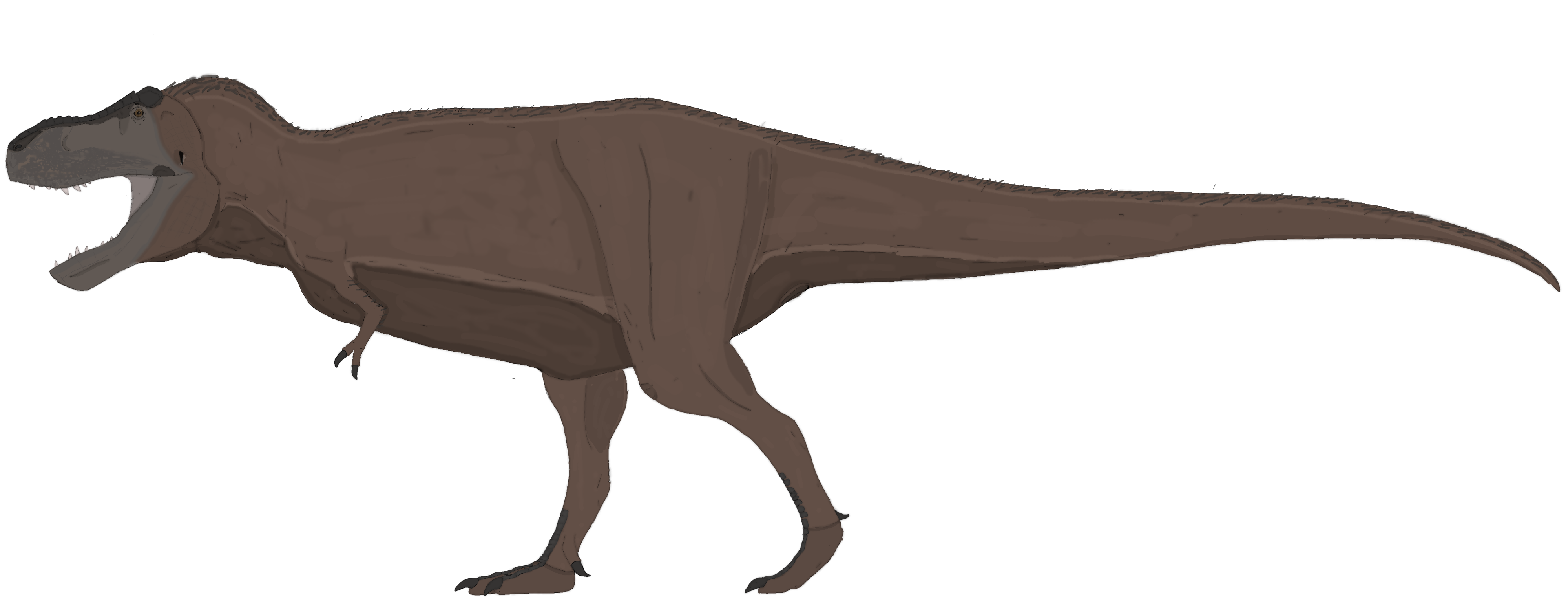 T-Rex reconstruction by me.