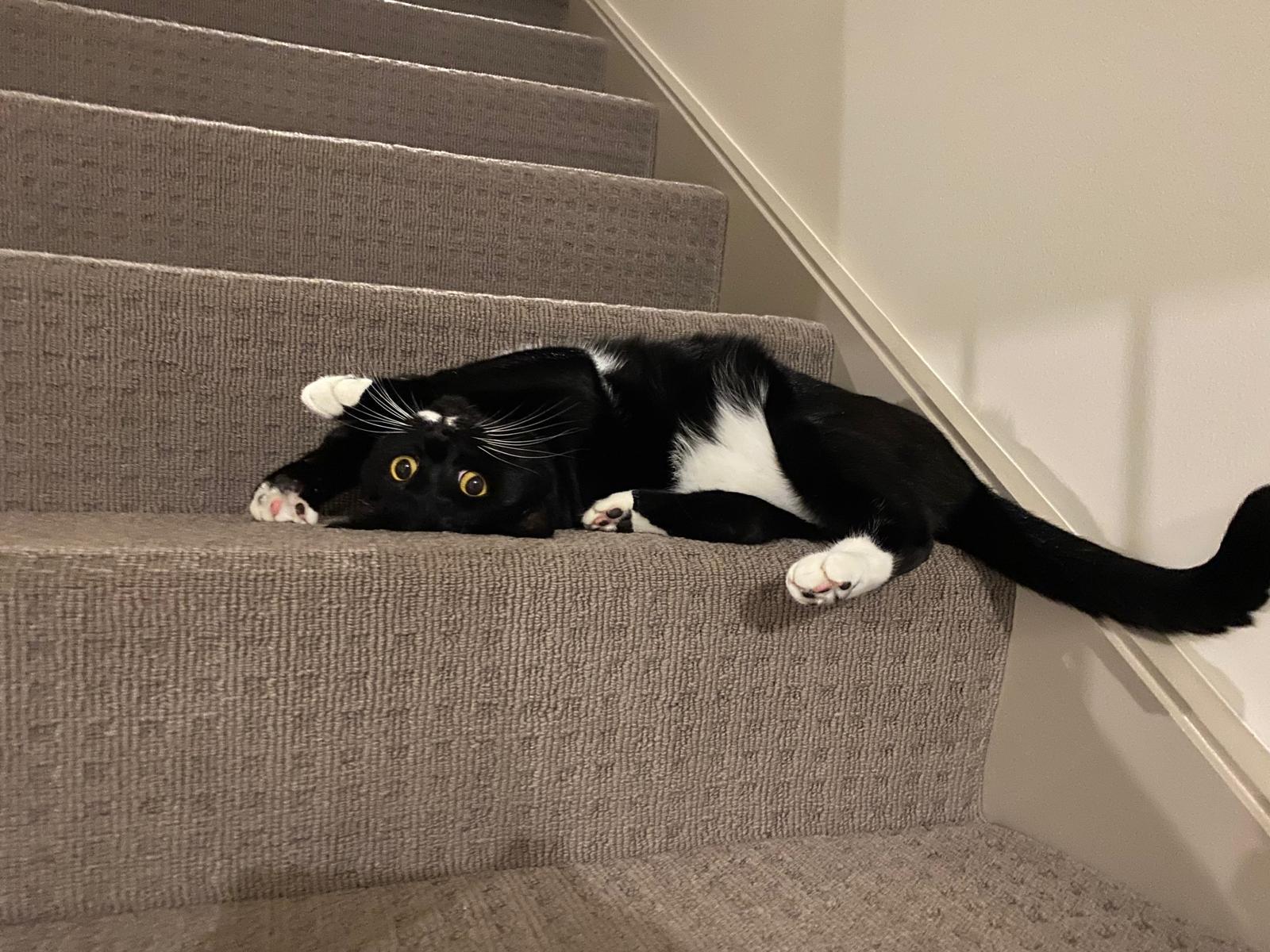 Human: I have mastered the most complex yoga pose. I am complete. 