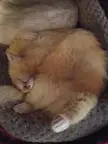My Sleepy Boy, Always in The Funniest Positions