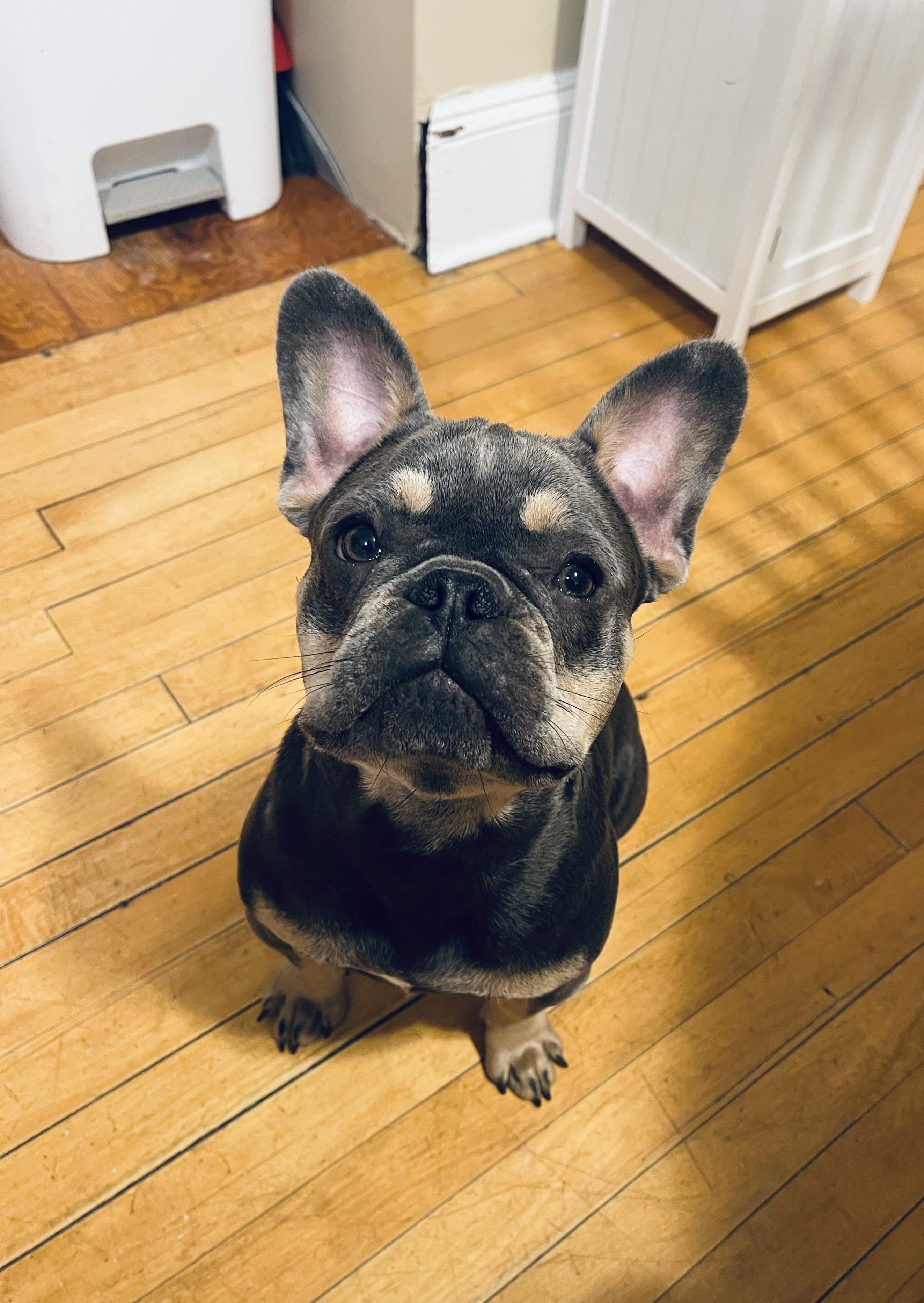 Hi I’m Henry