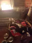 Is there a better place for a nap on a winter evening?