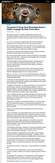 New research discovers that Chimps communicate with each other using hundreds of "structured vocal sequences" (sentences). [link to study in comments]