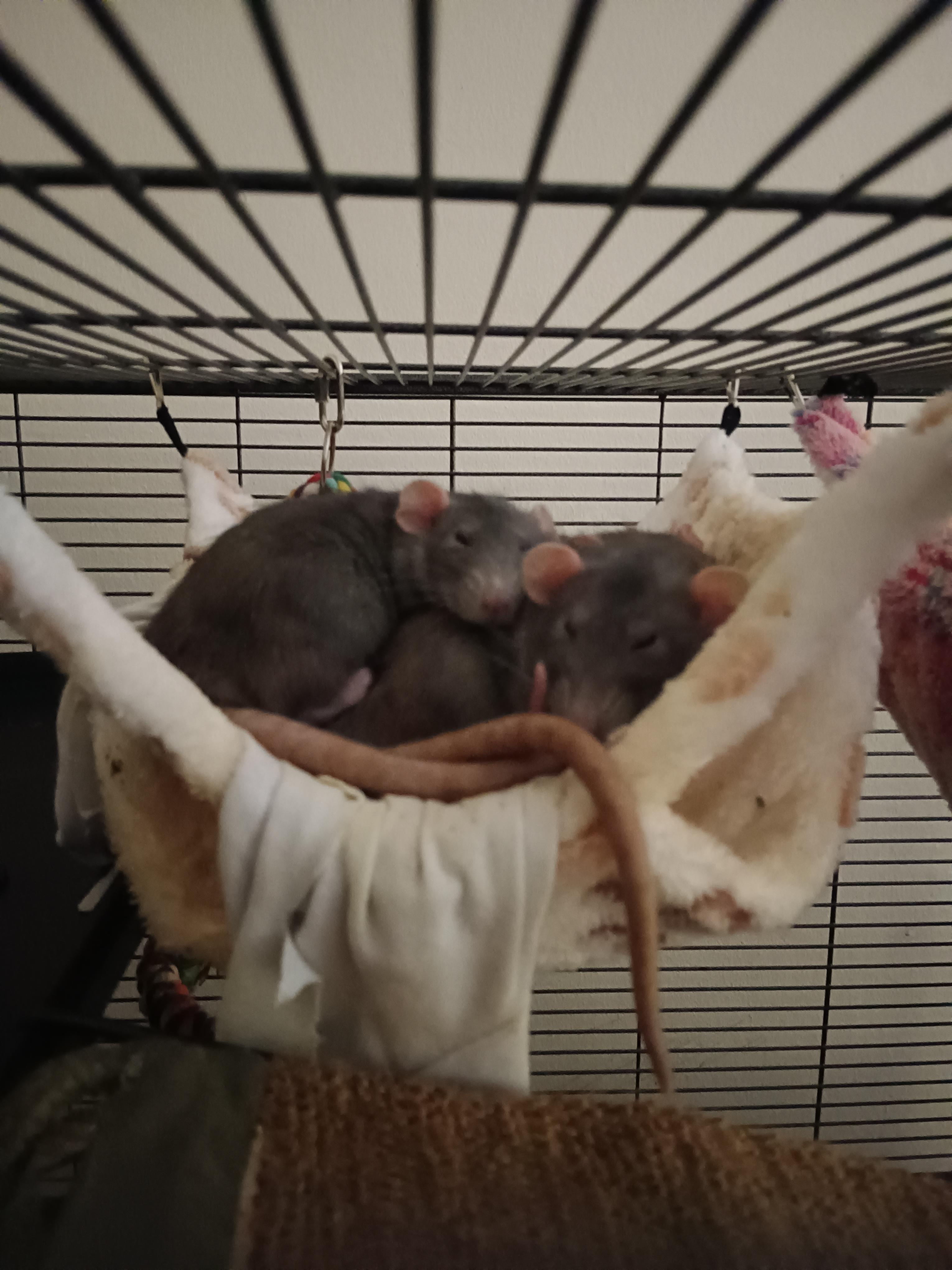 Mom and Daughter <3