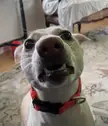 She’s gonna get ya