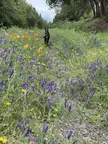 Enjoying spring