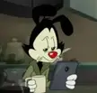 The most liked picture in the comments is going to be my reddit pfp If I lose NNN