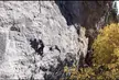 [17M]what's up I'm reese, I like rock climbing(indoor/outdoor), playing in band, working out, occasionally playing video games, and selling my time and soul to work. DM me if you wanna chat cuz I'm bored