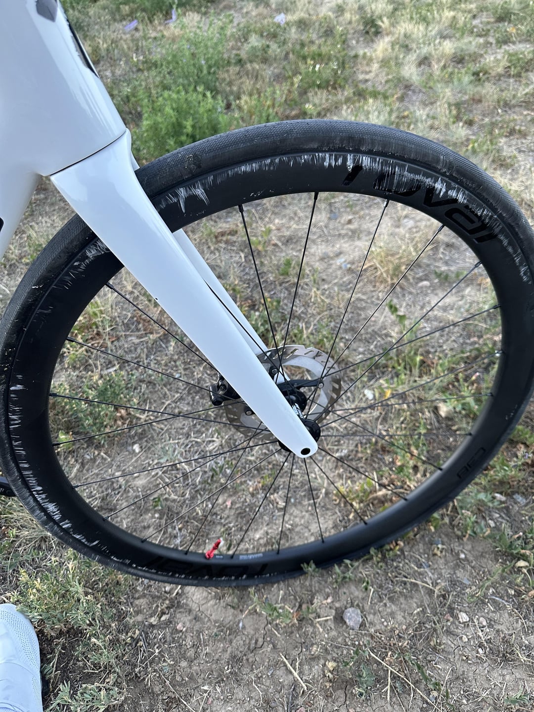 specialized