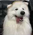 He is so happy to have his cute hat